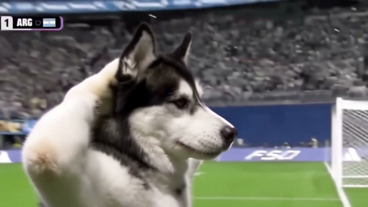 How to Make an Ear-Cup Celebration AI Video