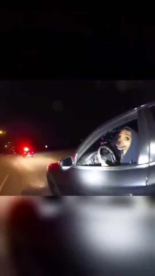 How to Make a What Stop Sign AI Video (Your Pet Pulled Over From One Photo)