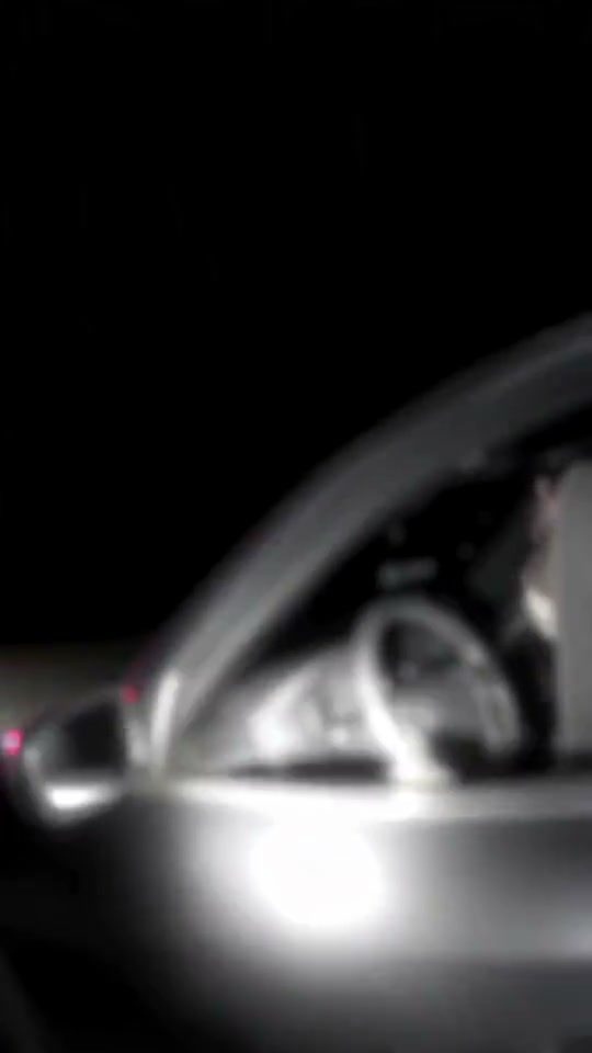 What Stop Sign, Man? From a Daytona Beach Body Cam to the AI Pet Trend